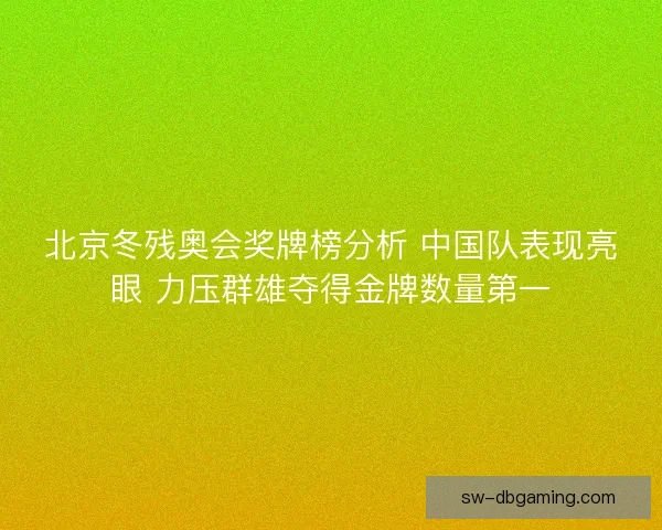 北京冬残奥会奖牌榜分析 中国队表现亮眼 力压群雄夺得金牌数量第一
